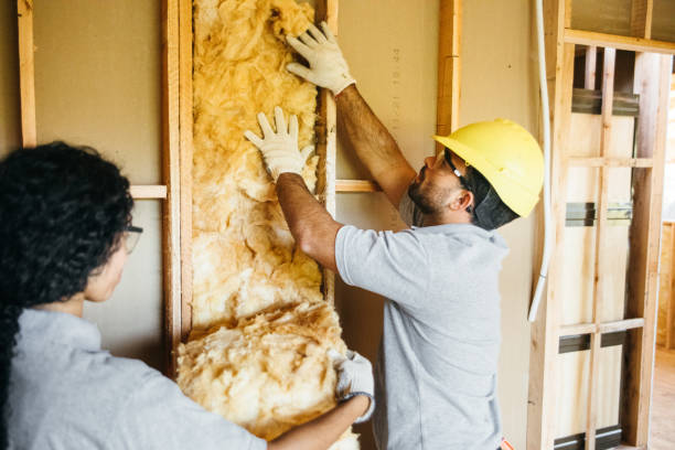 Best Attic Insulation Installation  in Versailles, PA
