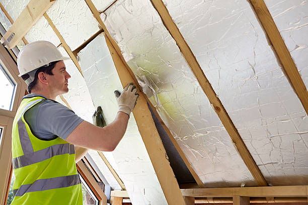 Best Insulation Inspection Services  in Versailles, PA